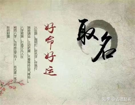 皓意思名字|皓字取名的寓意和象征